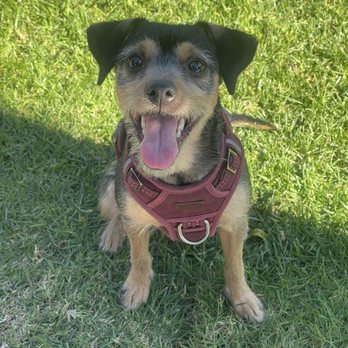 Mohnacky Animal Hospital - Carlsbad - Veterinarians Near Me - Carlsbad, California Mohnacky Animal Hospital - Carlsbad - Veterinarians Near Me - Carlsbad, California