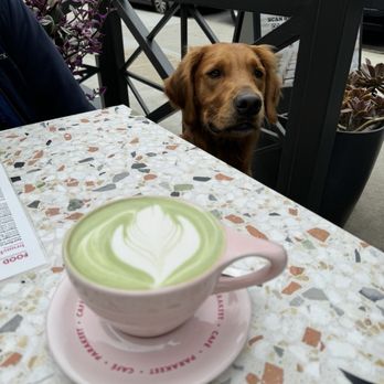 Parakeet Cafe - Brentwood - Lavender Matcha Latte - Breakfast & Brunch Near Me - Los Angeles, California