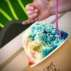 Happy Honu Shave Ice gift card