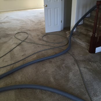 D&E Carpet Cleaning - Buffed out - Carpet Cleaning Near Me