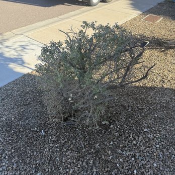 City 2 City Landscaping - Landscaping Near Me - Glendale, Arizona