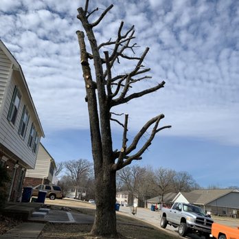 Nelson Tree Services - Trimming in bentonville - Lawn Services Near Me - Rogers, Arkansas Nelson Tree Services - Trimming in bentonville - Lawn Services Near Me - Rogers, Arkansas