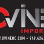 Photo of Dvine oc