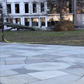 Washington Square - Timber! - Parks Near Me - Philadelphia, Pennsylvania