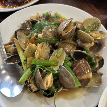 Joy Restaurant - Stir Fried Live Clams with Basil ~ $22.95 - Taiwanese Near Me - Foster City, California Joy Restaurant - Stir Fried Live Clams with Basil ~ $22.95 - Taiwanese Near Me - Foster City, California