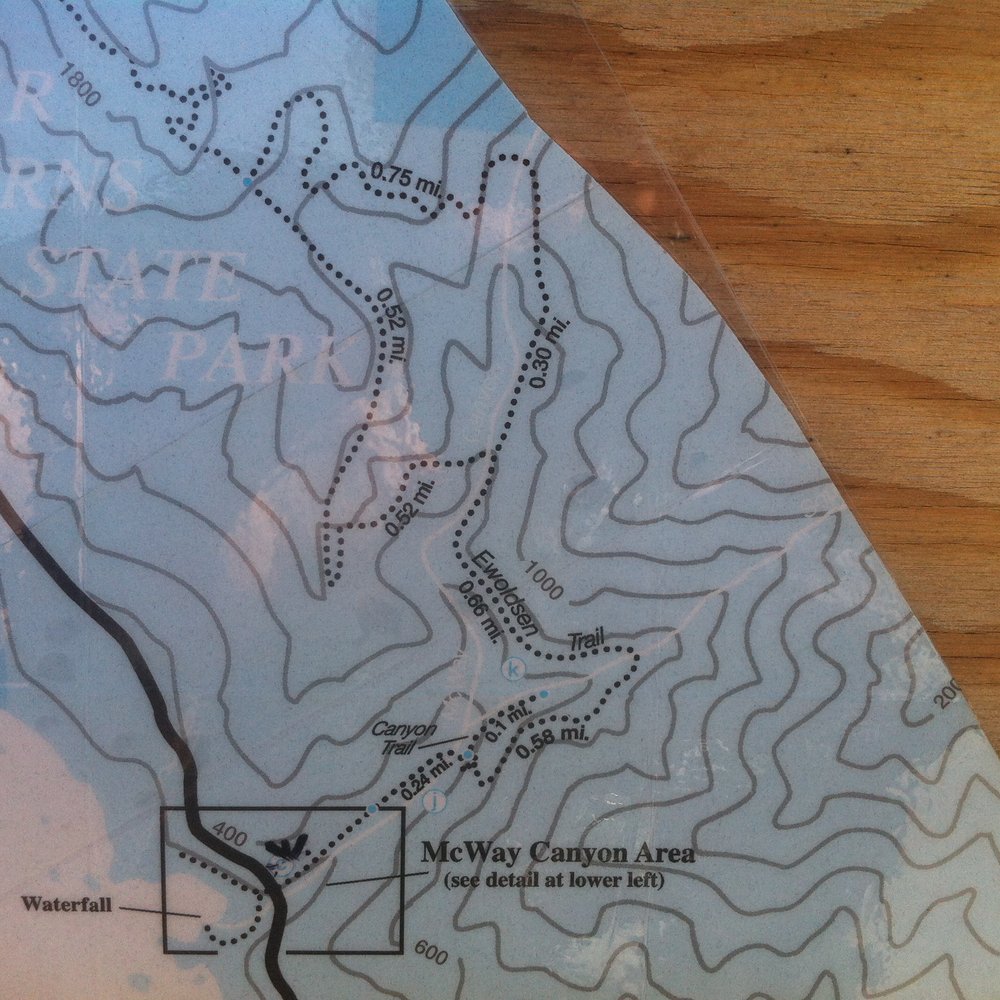 Julia Pfeiffer Burns State Park - Map of the Canyon/Ewoldsen Trail Loop. We went up Canyon, then Up Ewoldsen, Turned Right, and Counter-clockwised the "Loop" - Parks Near Me - Big Sur, California