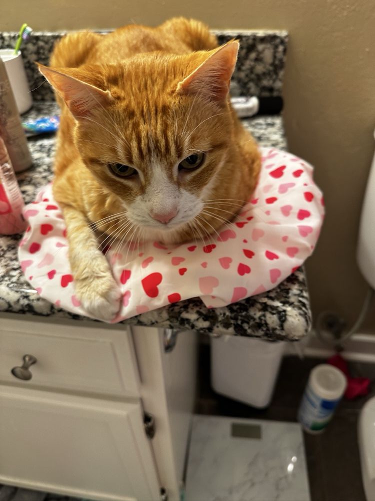 Aspen Park Vet Hospital Image