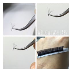 Willow Lash Labs