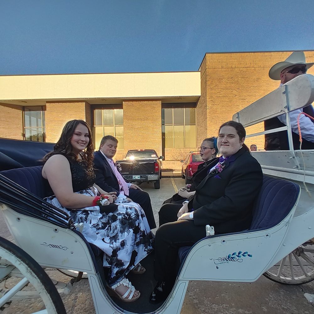 Orange Sky Carriage Rides - equestrian in Siloam Springs, AR