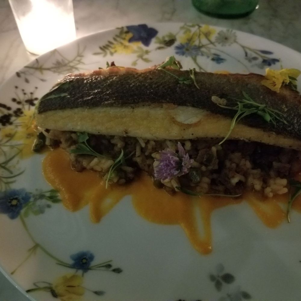 Catbird - Market fish (branzino) with rice and a crawfish comte. . - Tapas/Small Plates Near Me - Dallas, Texas Catbird - Market fish (branzino) with rice and a crawfish comte. . - Tapas/Small Plates Near Me - Dallas, Texas