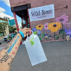 Wild Rose