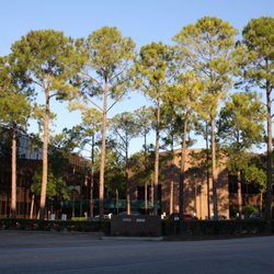 Roger P. Byrne, DDS, MD