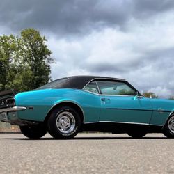 Electric Rose Auto Salon