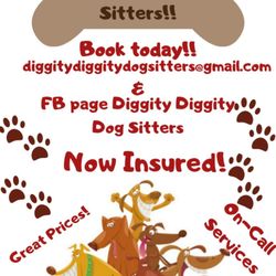 Diggity Diggity Dog Sitters - Hire us today!