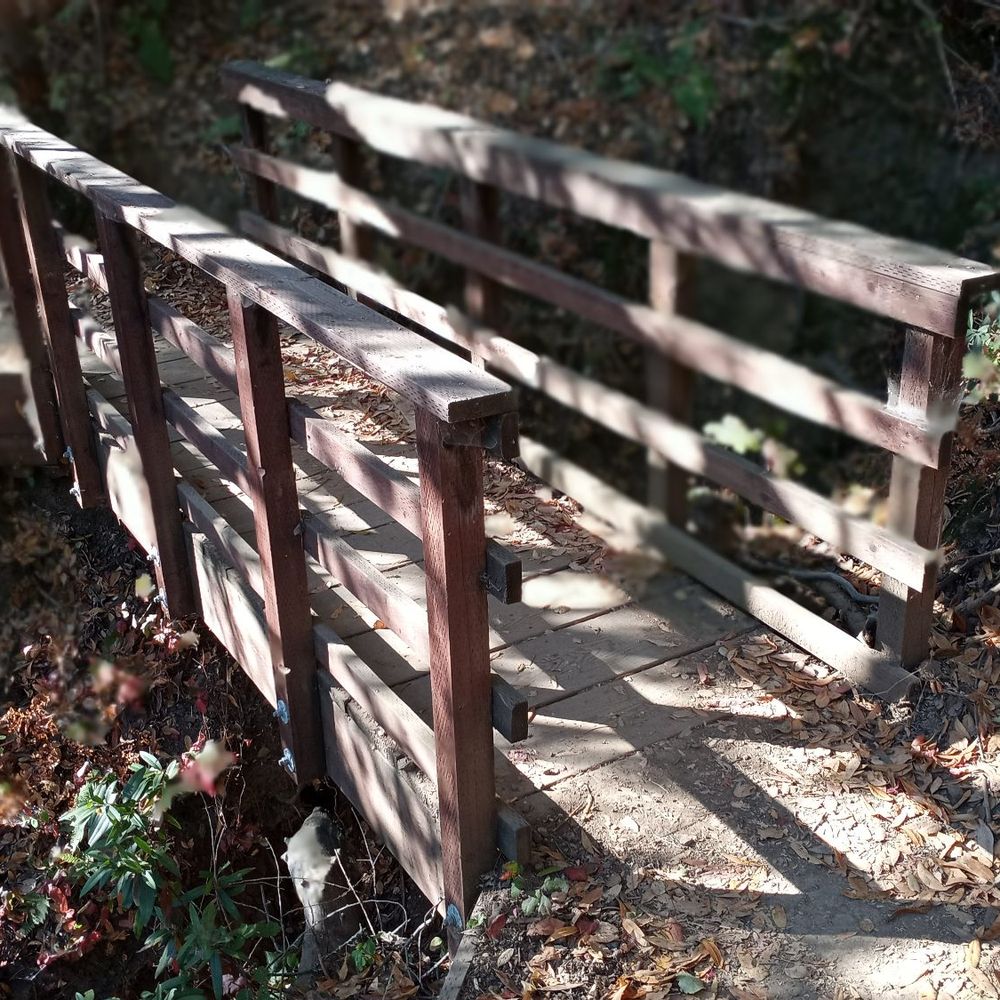 Eaton Park - Parks Near Me - San Carlos, California Eaton Park - Parks Near Me - San Carlos, California