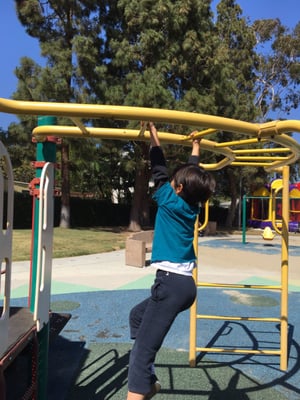 Culver West Alexander Park by null