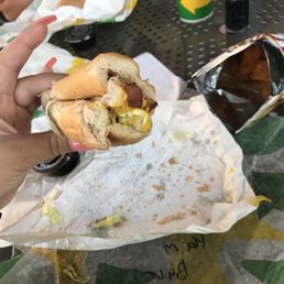 a person holding a hot dog in their hand