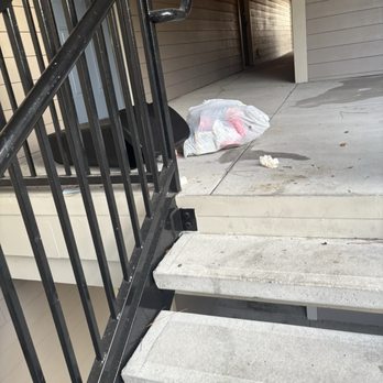 Stoneleigh on Kenswick Apartments - Garbage men don't work - Apartments Near Me - Humble, Texas Stoneleigh on Kenswick Apartments - Garbage men don't work - Apartments Near Me - Humble, Texas