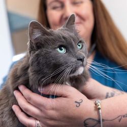 Sun Valley Pet Hospital