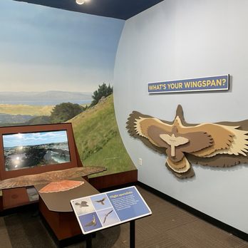 Lindsay Wildlife Experience - Museums Near Me - Walnut Creek, California Lindsay Wildlife Experience - Museums Near Me - Walnut Creek, California