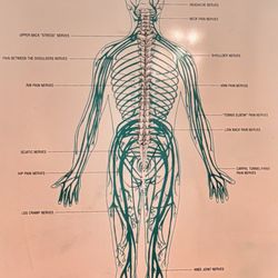 Cillo Chiropractic Center - Interesting stuff!
