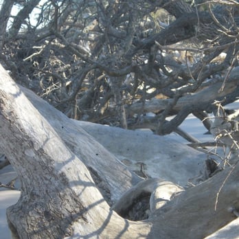 Big Talbot Island State Park - Parks Near Me - Jacksonville, Florida Big Talbot Island State Park - Parks Near Me - Jacksonville, Florida