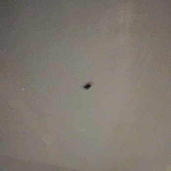 Starved Rock Lodge - Can we say - killing spider's daily b4 showering for 4 days was frustrating. - Hotels Near Me - Oglesby, Illinois