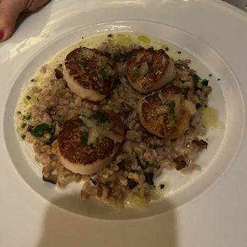 Old Ebbitt Grill - Scallops - Bars Near Me - Washington, DC, District of Columbia Old Ebbitt Grill - Scallops - Bars Near Me - Washington, DC, District of Columbia