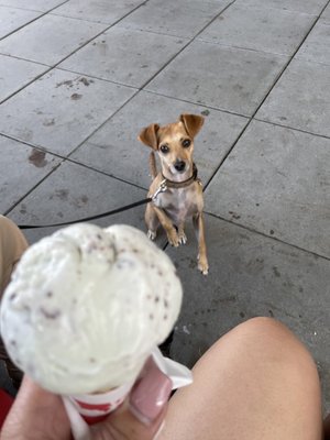 Salt & Straw by null