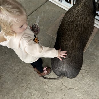 Sugarplum Zoo - Chocolatiers & Shops Near Me - Temecula, California