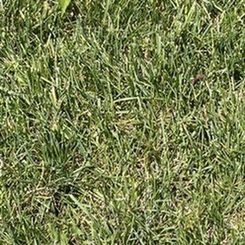 Premium Lawn & Landscapes - Landscaping Near Me - Sparks, Nevada Premium Lawn & Landscapes - Landscaping Near Me - Sparks, Nevada