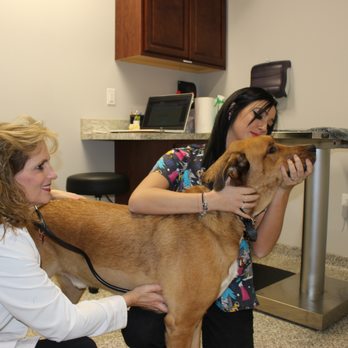 Annapolis Veterinary & Wellness - Relaxed and friendly staff. Most of all we love the pets!!! - Veterinarians Near Me - Annapolis, Maryland Annapolis Veterinary & Wellness - Relaxed and friendly staff. Most of all we love the pets!!! - Veterinarians Near Me - Annapolis, Maryland
