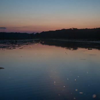 Caddo Outback Backwater Tours - Sunset on Caddo Lake - Tours Near Me - Karnack, Texas Caddo Outback Backwater Tours - Sunset on Caddo Lake - Tours Near Me - Karnack, Texas