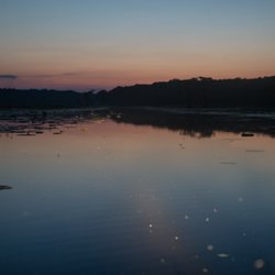 Caddo Outback Backwater Tours - Sunset on Caddo Lake