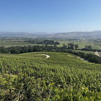 Harlan Estate - Beautiful view - Wineries Near Me Harlan Estate - Beautiful view - Wineries Near Me