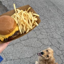 Dashboard Food Truck