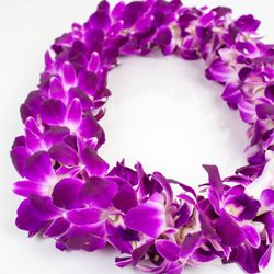 Suzann's Flowers