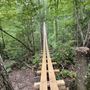 Photo of Wildwater - Nantahala Gorge Canopy Tours