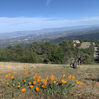 Ridge Vineyards - Monte Bello - Wineries Near Me - Cupertino, California Ridge Vineyards - Monte Bello - Wineries Near Me - Cupertino, California