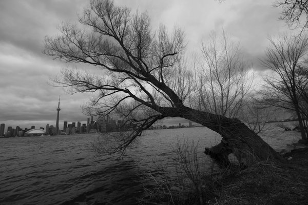 Toronto Island Park Olympic Island by null