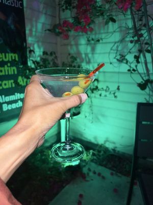 The Silver Fox by null