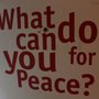 Photo of Peace Museum Vienna