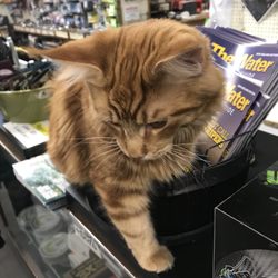 Surfland Bait & Tackle - My pal Fin