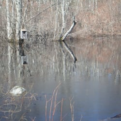 Burrillville Wildlife Area