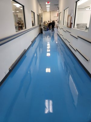 Ahmed Sael Hussein Logo