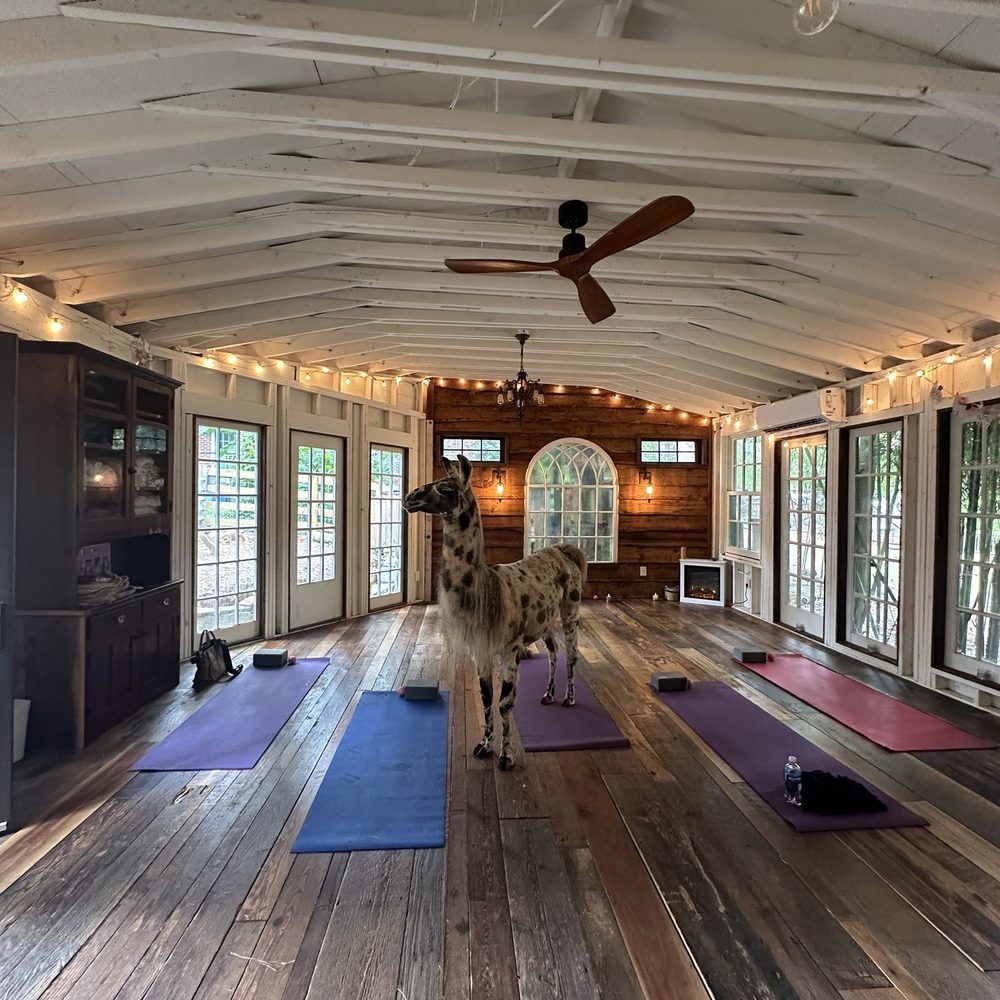 Airbnb Atlanta, GA - Last Updated January 2026 - Yelp