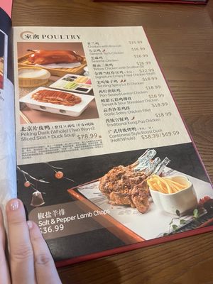 A Gourmet Chinese Cuisine by null