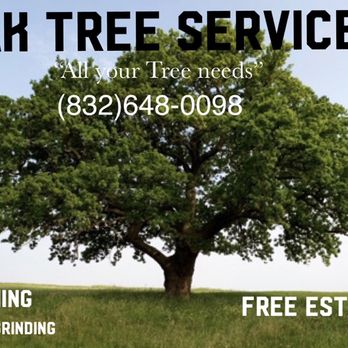 Oak Tree Service Tree Services Houston Tx Phone Number