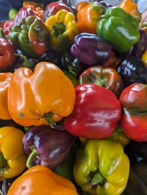 Toledo Farmers' Market by null