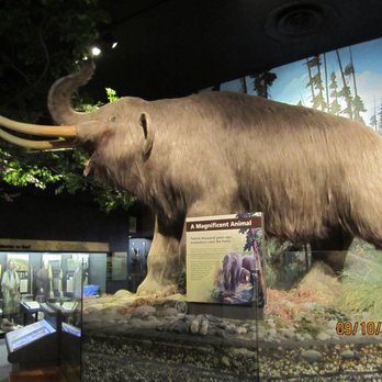 RMSC Museum & Science Center - Cool display - Museums Near Me - Rochester, New York RMSC Museum & Science Center - Cool display - Museums Near Me - Rochester, New York